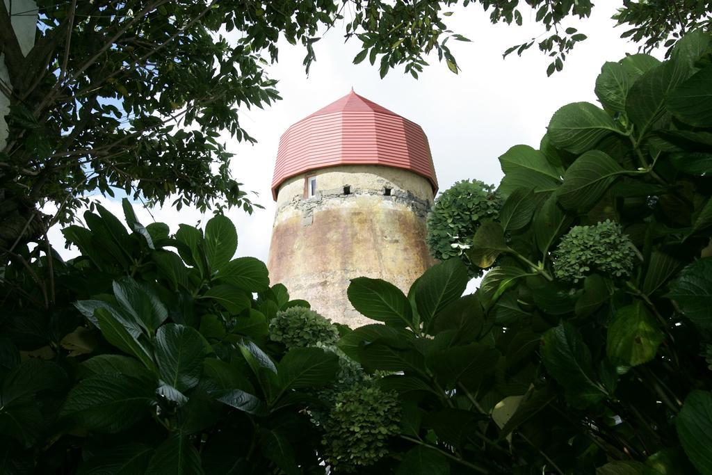O Moinho Da Bibi Villa Candelaria  Ngoại thất bức ảnh